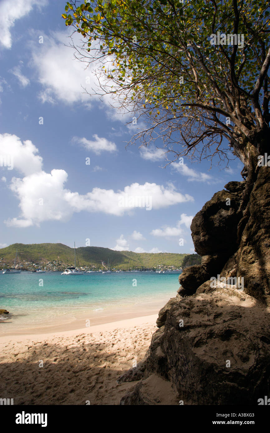 WEST INDIES Caribbean St Vincent The Grenadines Bequia Island Princess