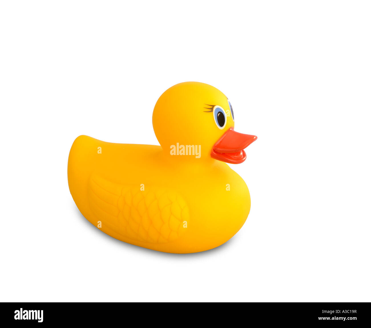 Rubber Ducky on white seamless Stock Photo Alamy