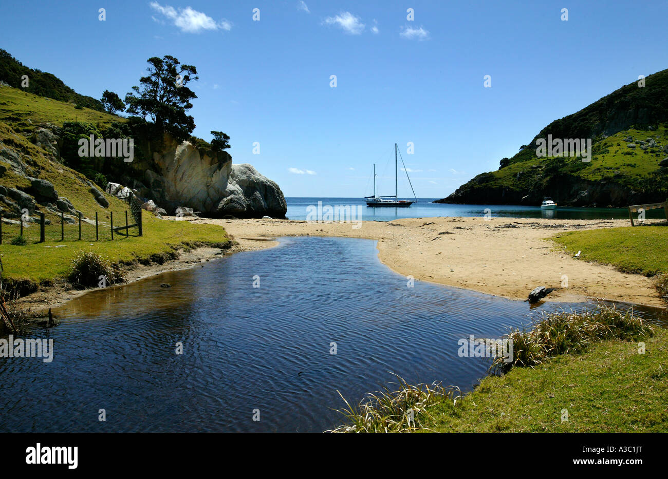 The Cove at Rakitu Island New Zealand Stock Photo