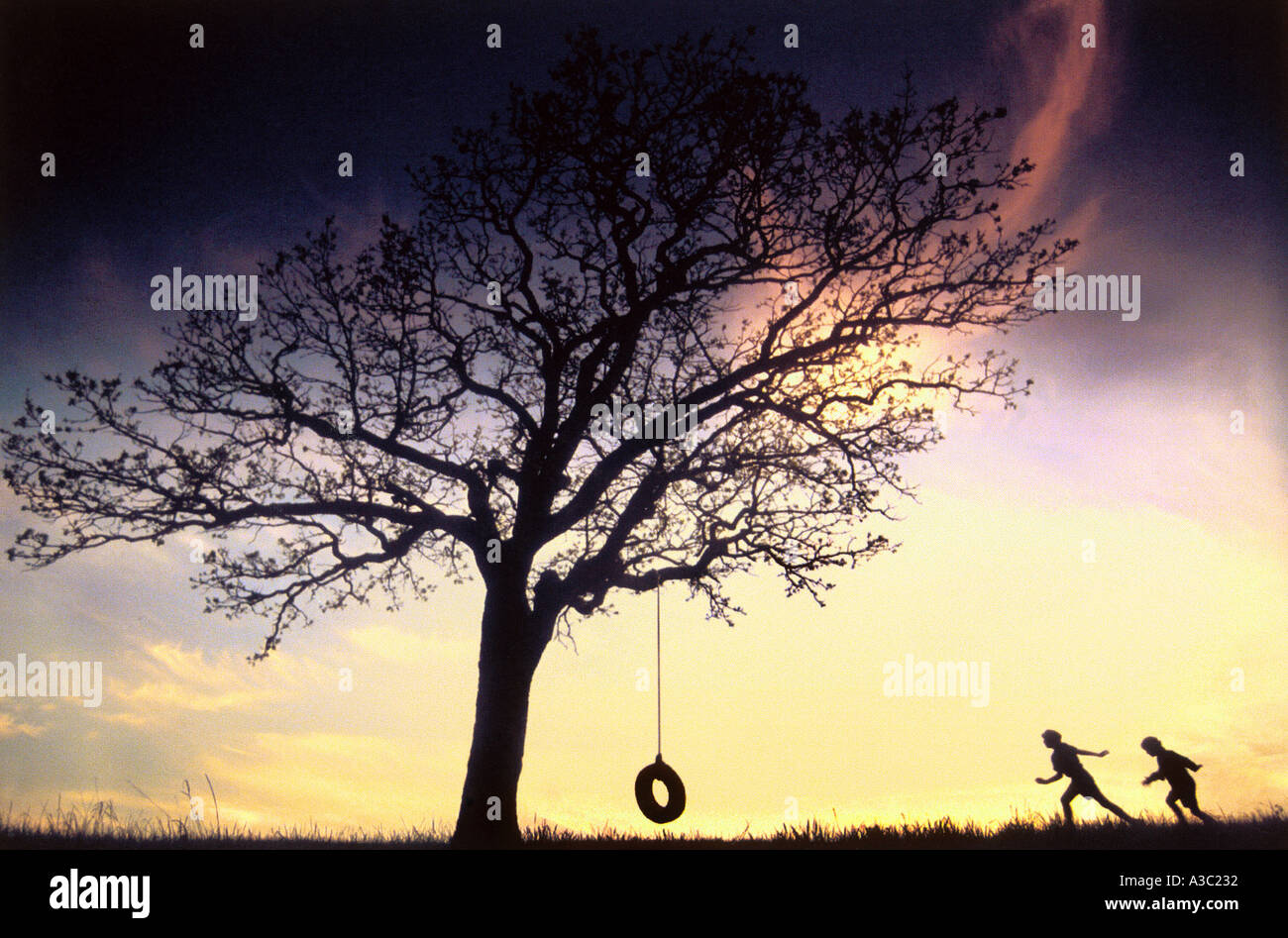 Silhouette Of Two Children Running To Tree With Tire Swing