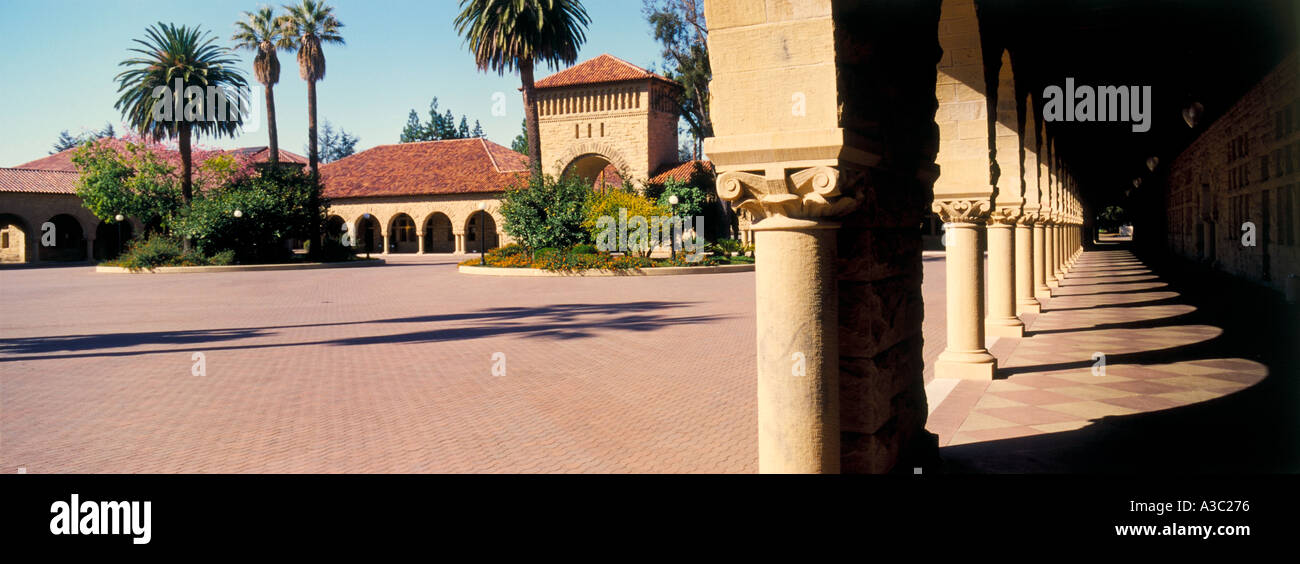Fake Stanford Id