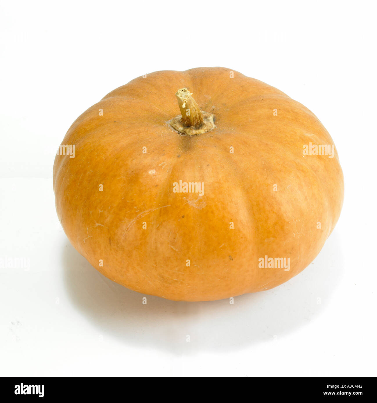 vegetable,food,pumpkin,one,object, Stock Photo