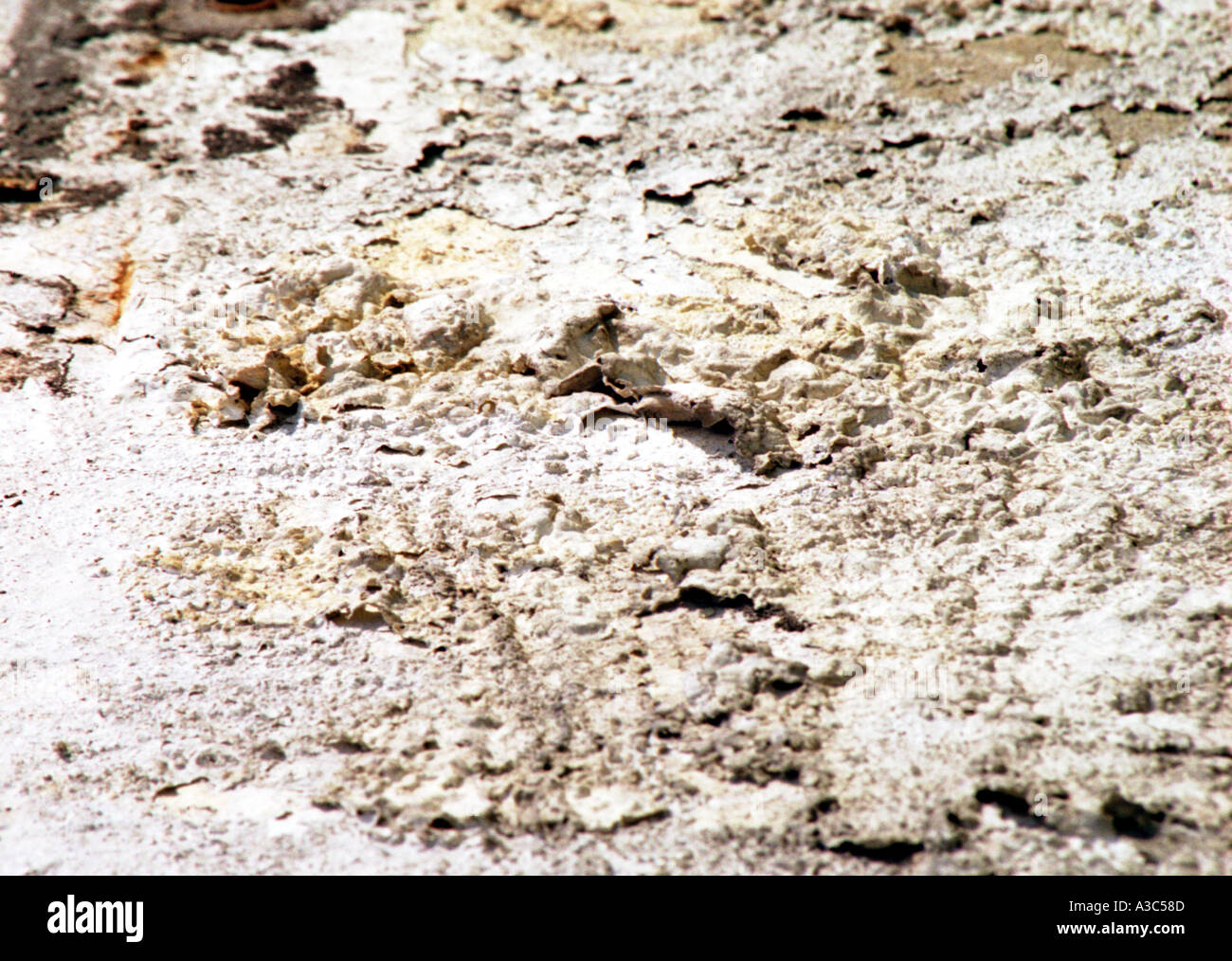 peeling paint paint peeling peel bubble bubbling blister blistering