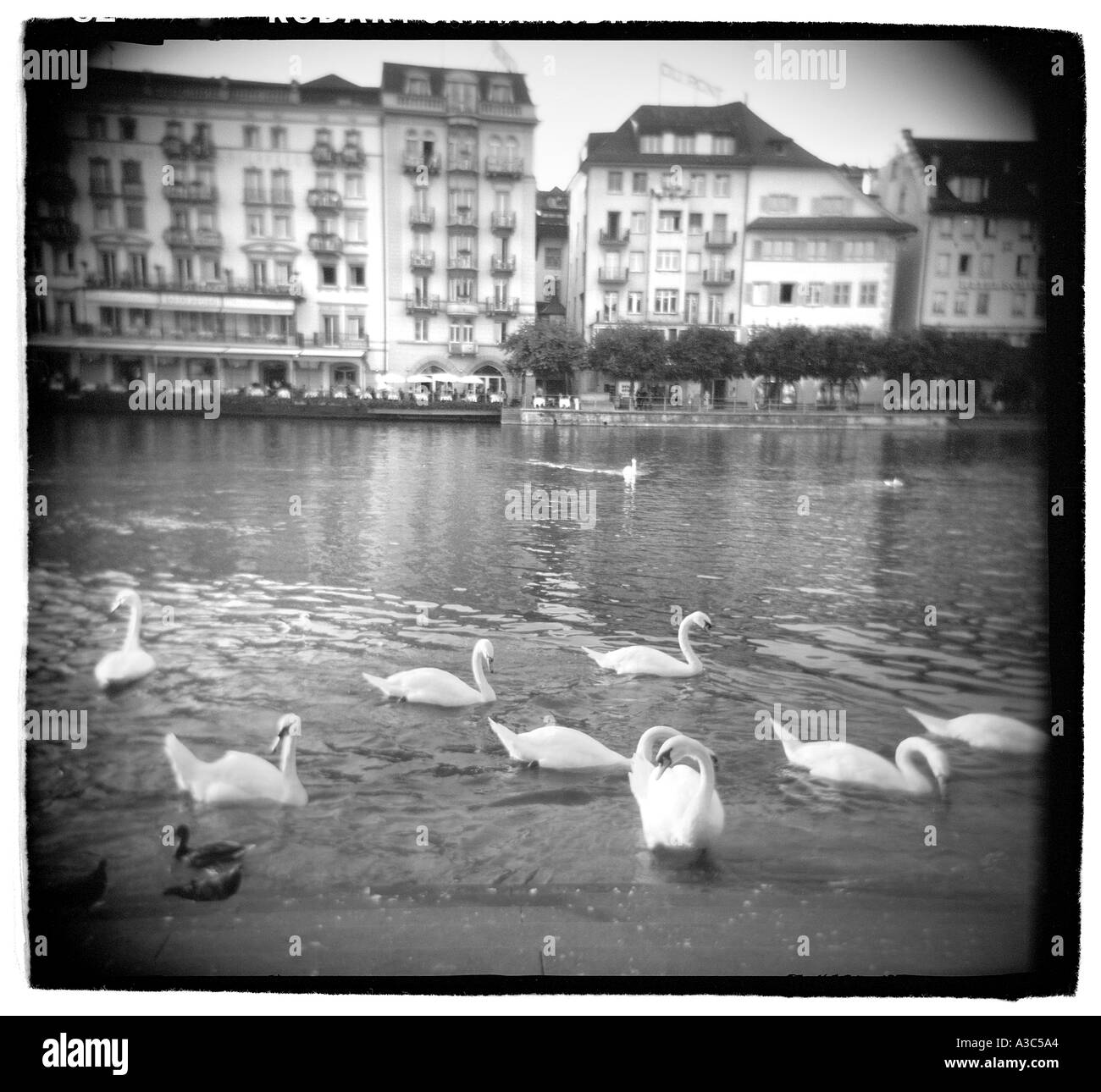Vignette Switzerland High Resolution Stock Photography and Images - Alamy