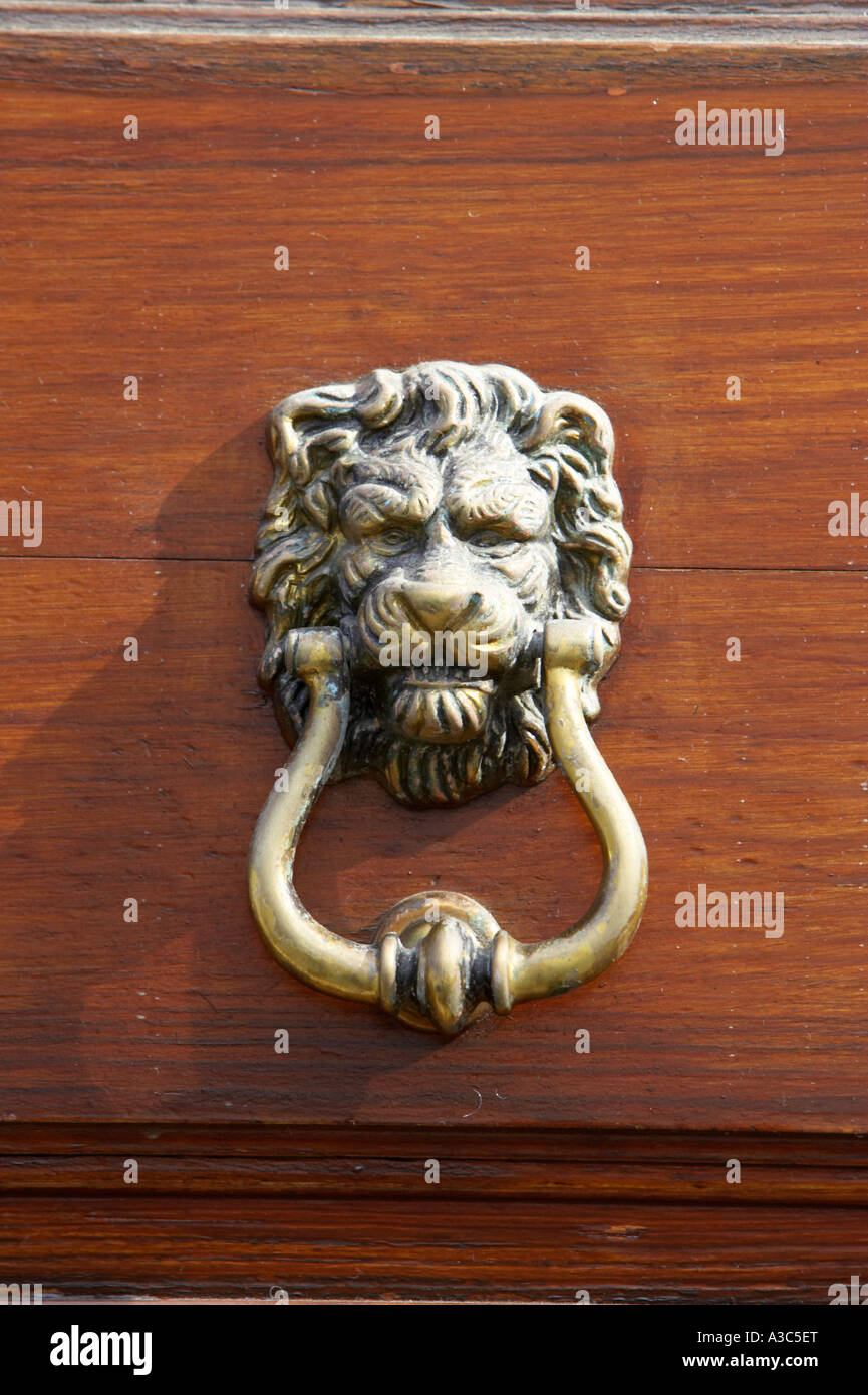 Traditional Antique Brass Lion Head Door Knocker On Wooden Door