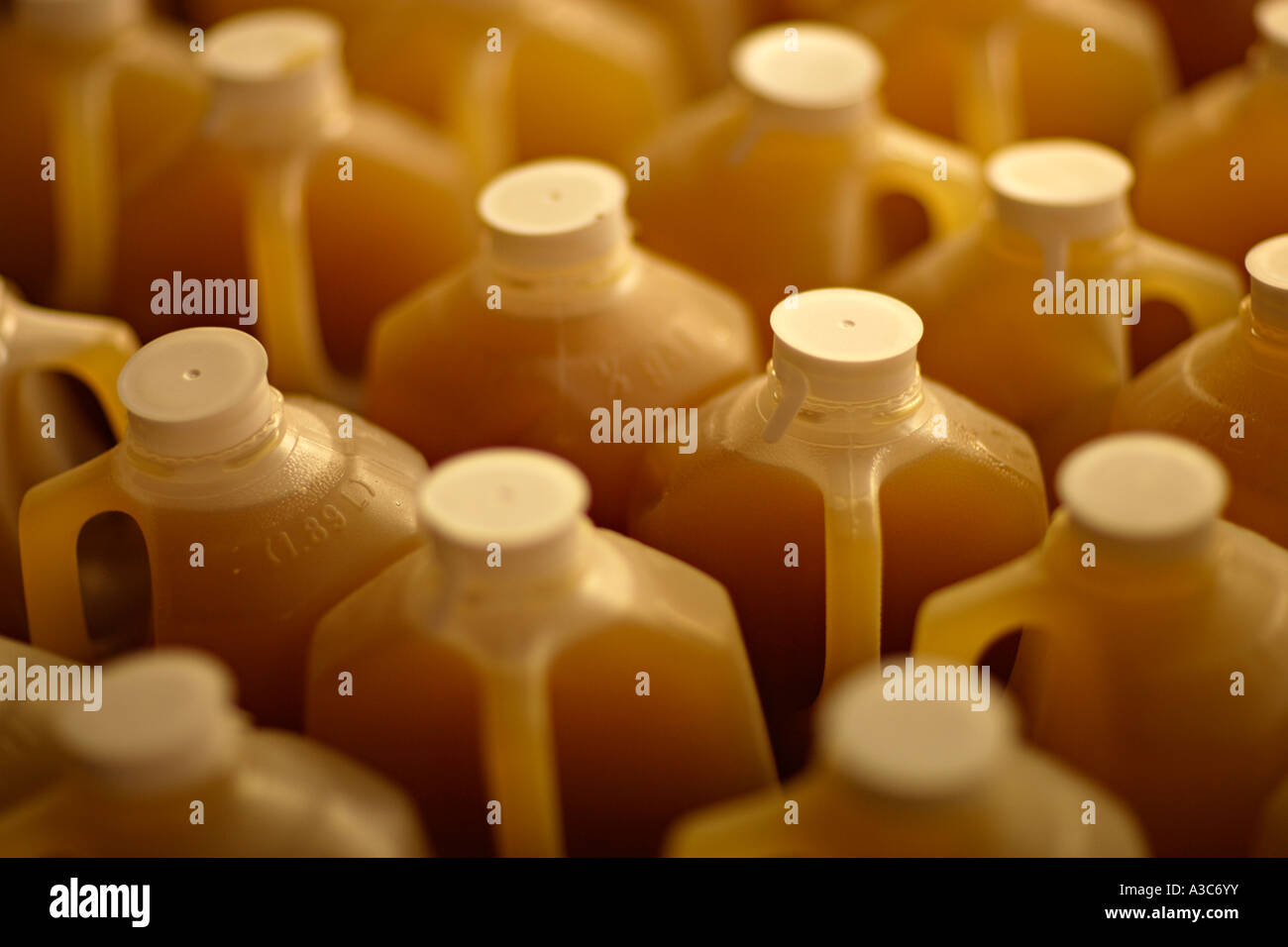 Jugs of apple cider in the grocery store Stock Photo Alamy