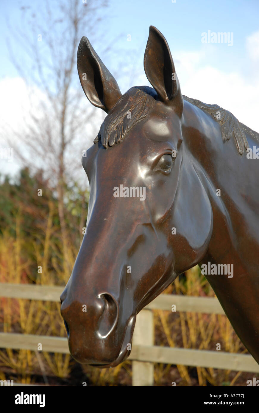 Best mate horse hires stock photography and images Alamy
