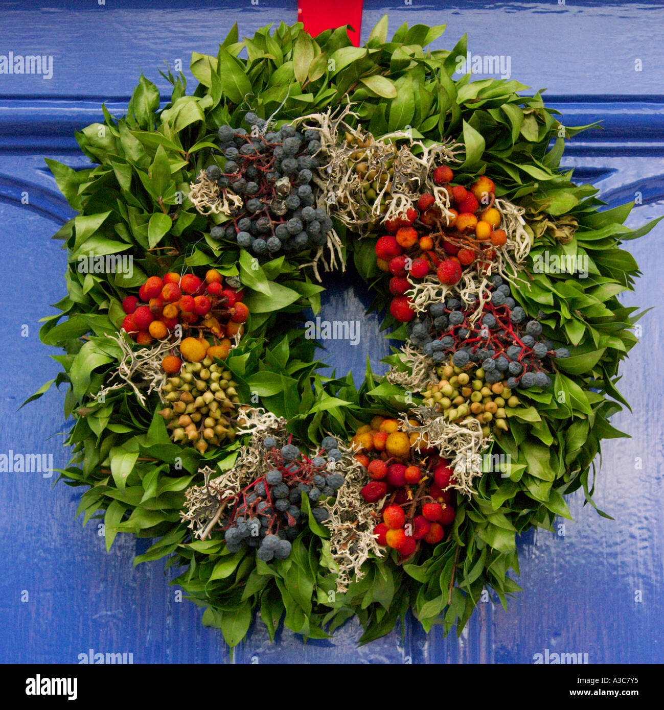 Christmas wreath on blue door Stock Photo Alamy