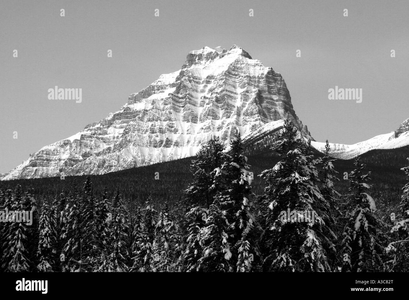 Canadian rocky mountains Black and White