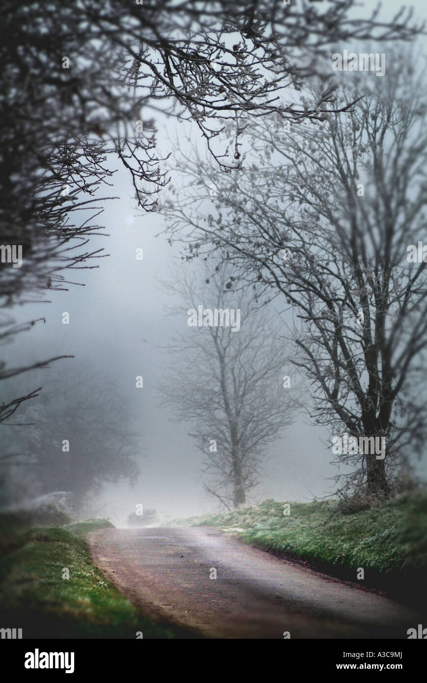 misty country road Stock Photo - Alamy