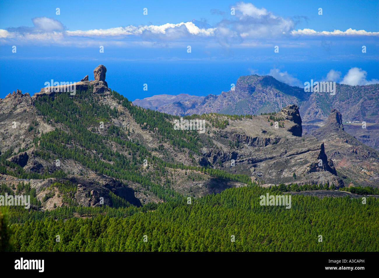 Pico de las Nieves Pozo Stock Photo - Alamy