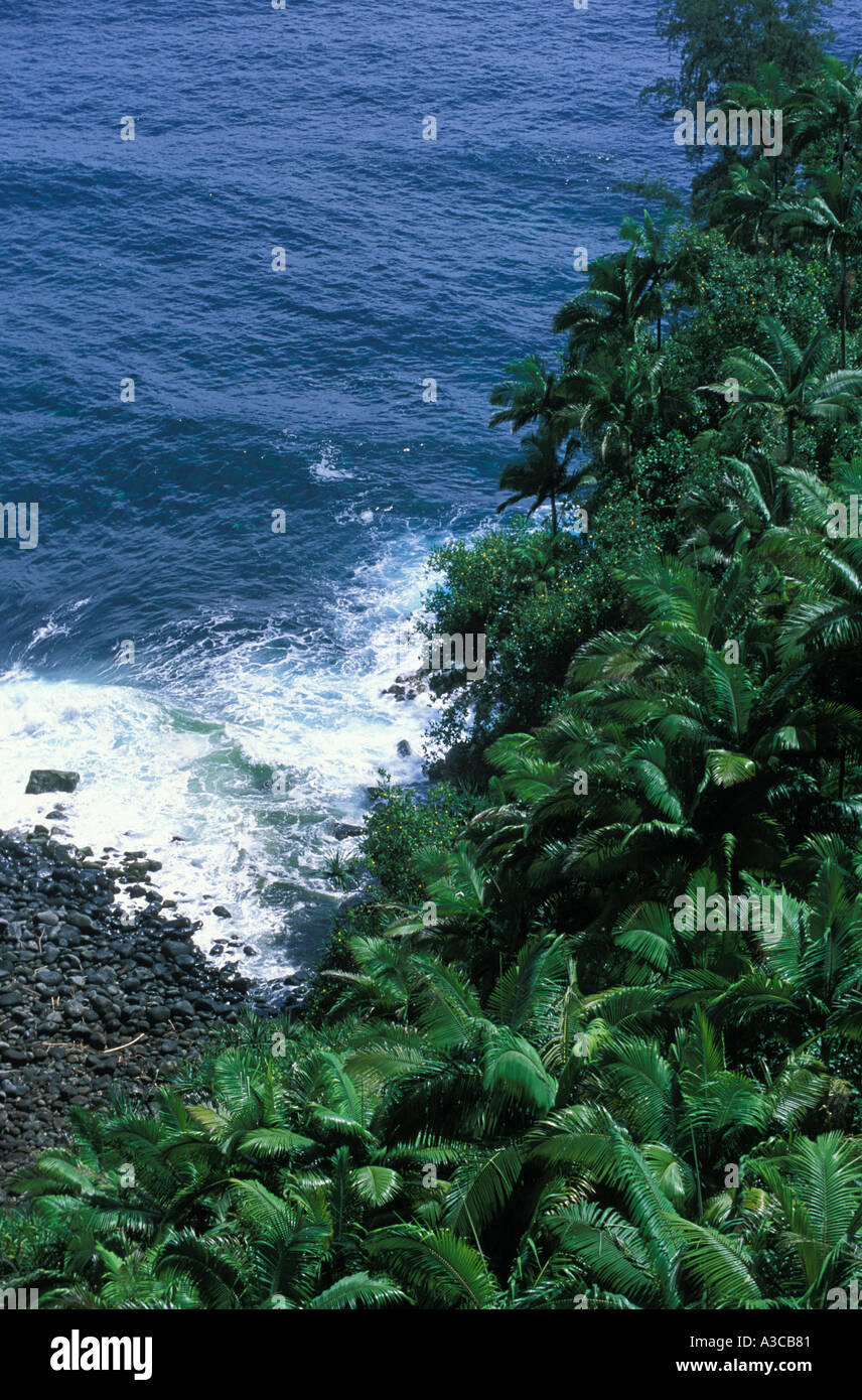 Hawaii rocky beach hi-res stock photography and images - Alamy