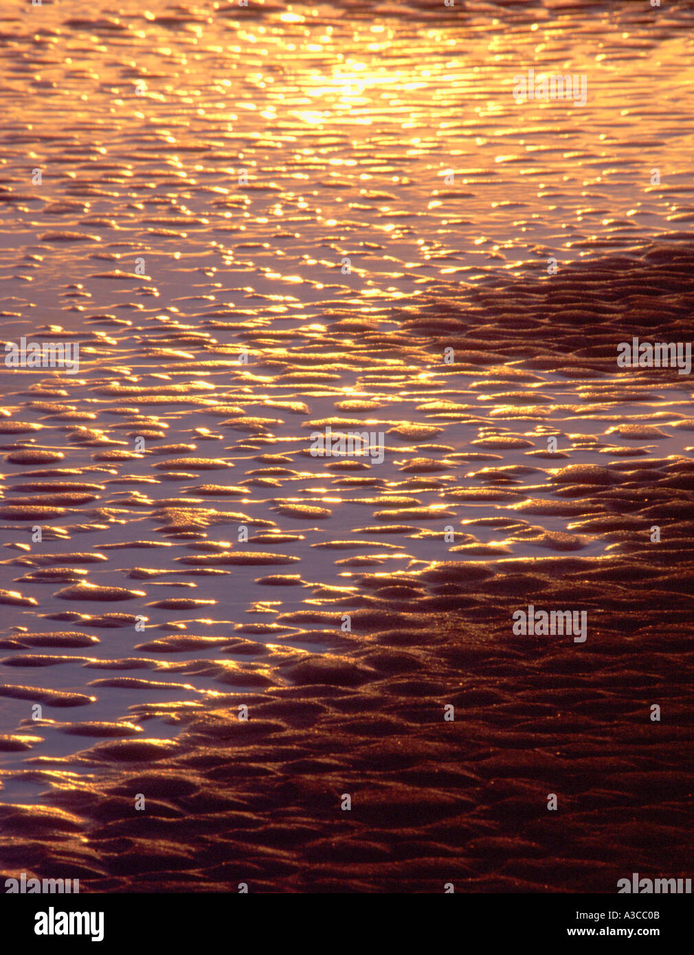 sunset on rippled wet sand on beach NORFOLK EAST ANGLIA ENGLAND UK Stock Photo