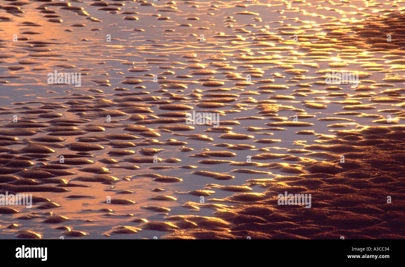 sunset on rippled wet sand on beach NORFOLK EAST ANGLIA ENGLAND UK Stock Photo