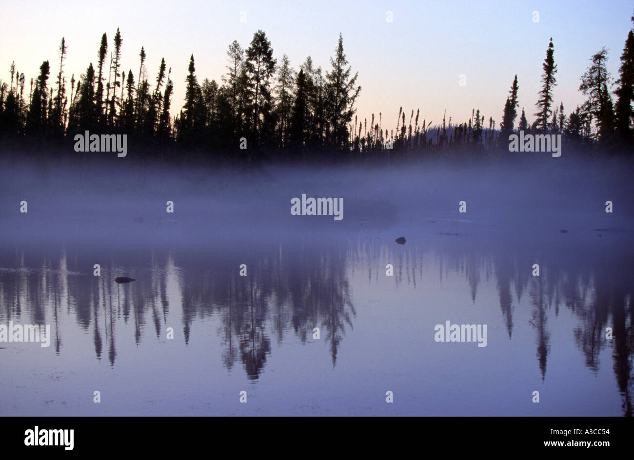 Nature forest Ouje Bougoumou Quebec Canada Stock Photo Alamy