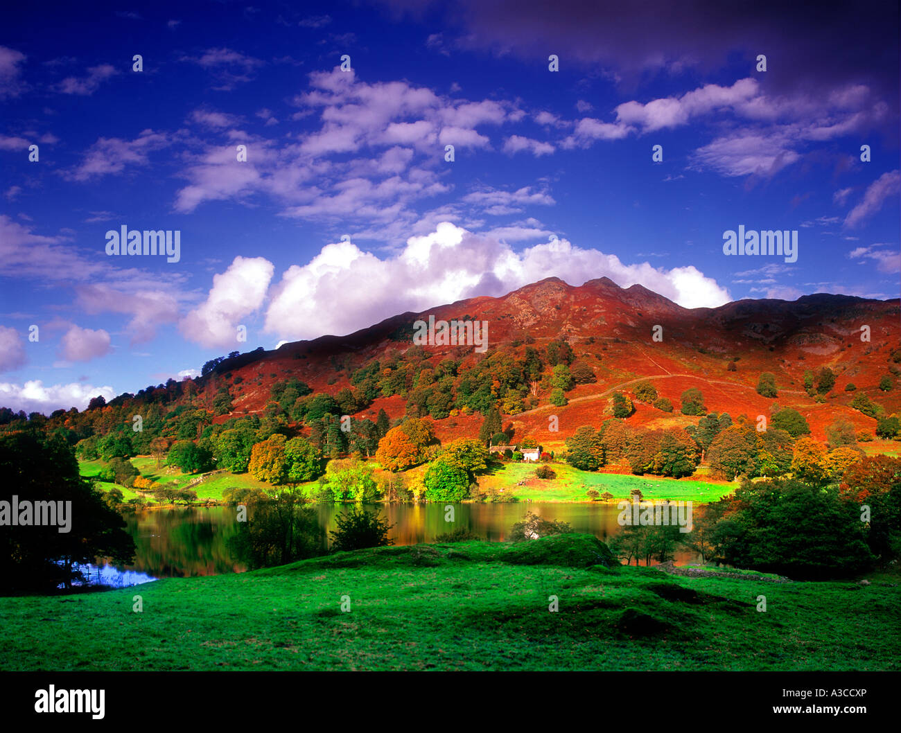 loughrigg tarn autumn fall colours grasmere lake district cumbria