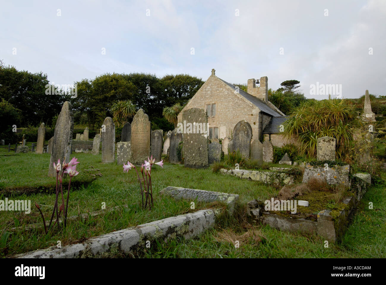 St Mary Old Church and the surrounding graveyard Amaryllis plants in flower are growing on one grave Stock Photo