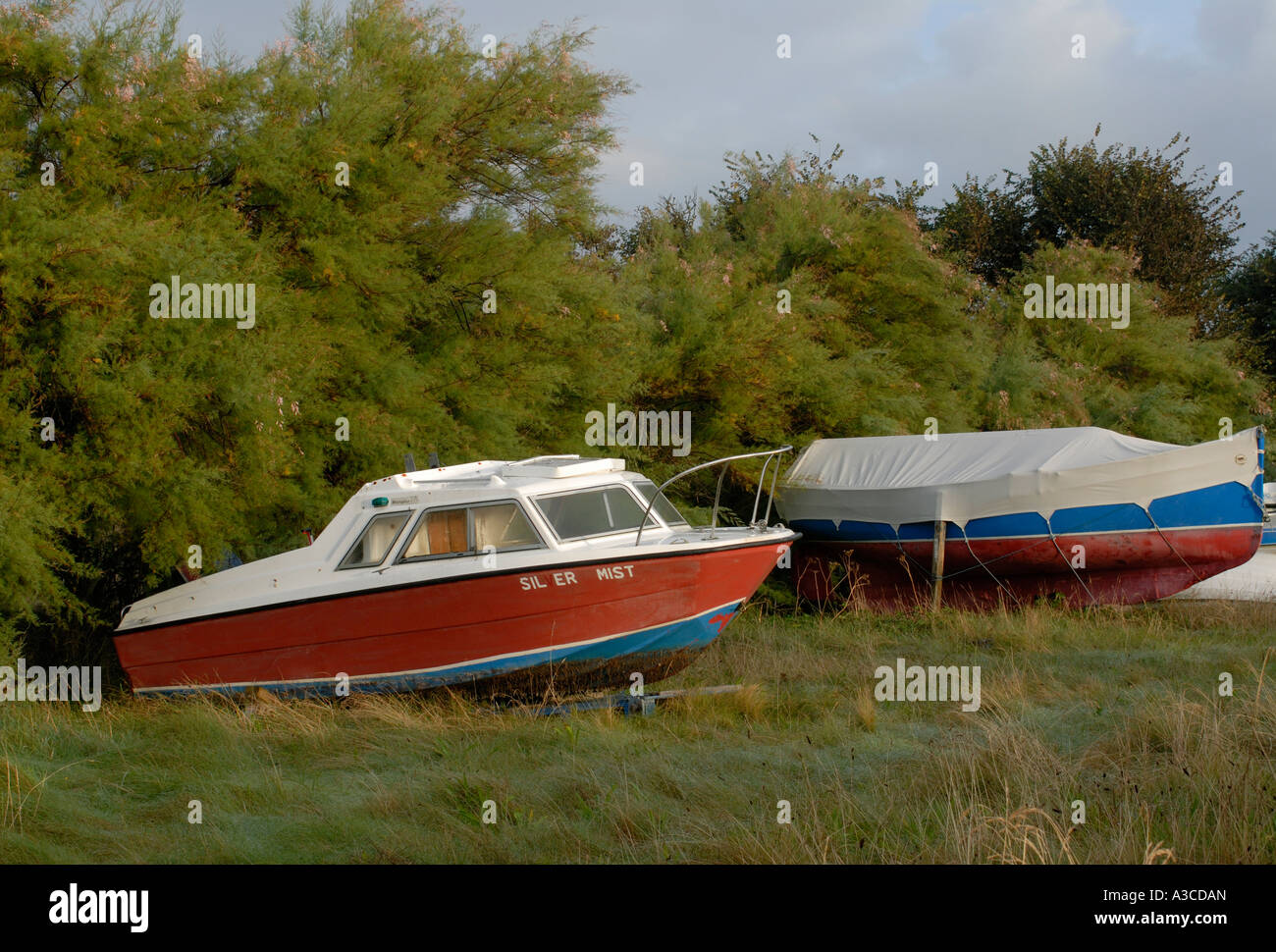 Small boats stored in a meadow beside a tamarisk Tamarix species hedge Stock Photo