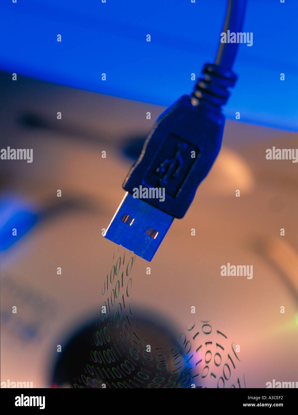 usb cable transferring data Stock Photo
