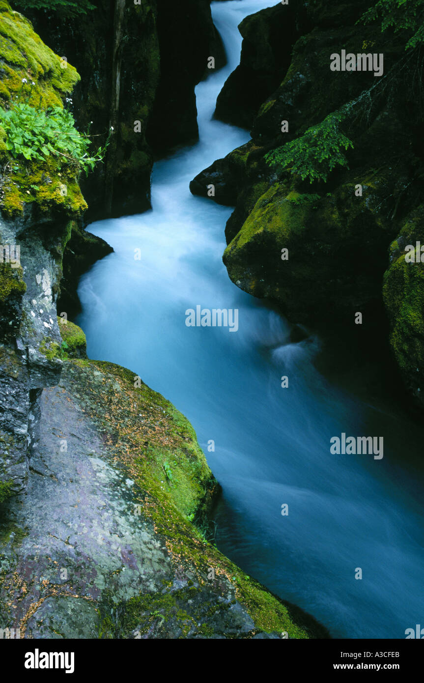 Avalanche Creek Glacier National Hi res Stock Photography And Images Avalanche Creek Glacier National Hi res Stock Photography And Images