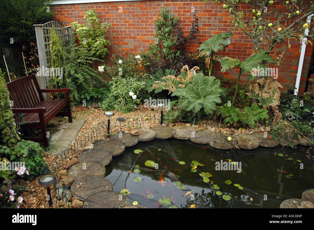 Small pond in english garden plot Stock Photo 10743297 Alamy