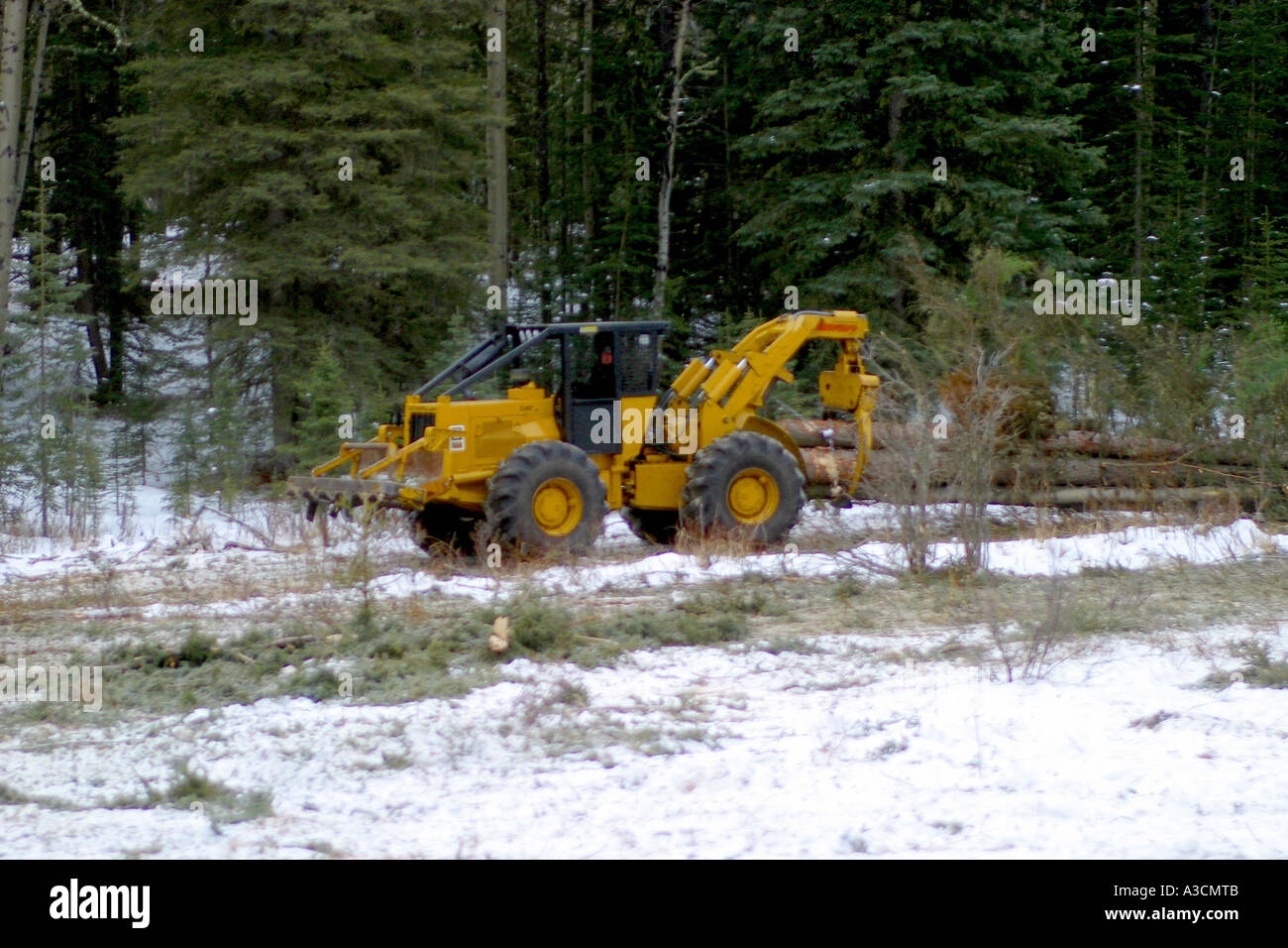Logging  industry; Grapple skidder Stock Photo