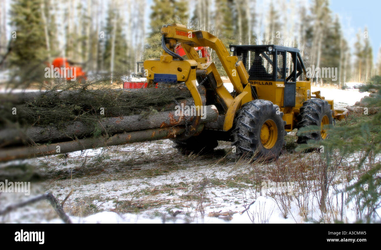 Logging industry Stock Photo Alamy