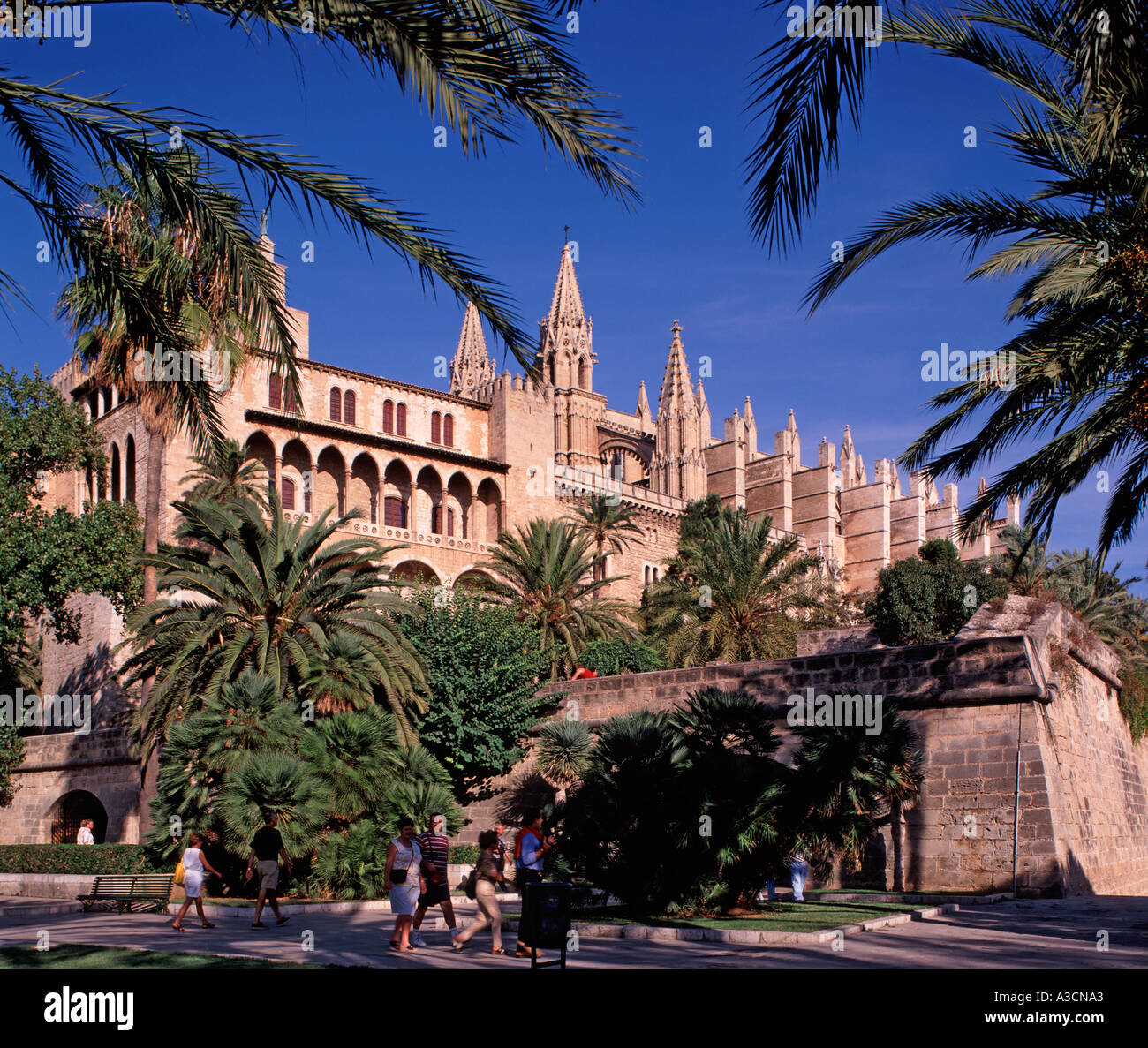 Palma Cathedral, Palma, Majorca, Spain Stock Photo - Alamy