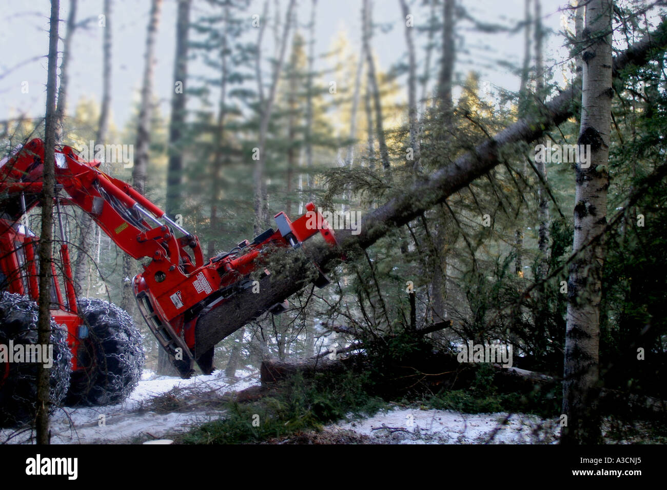 Logging industry Stock Photo Alamy