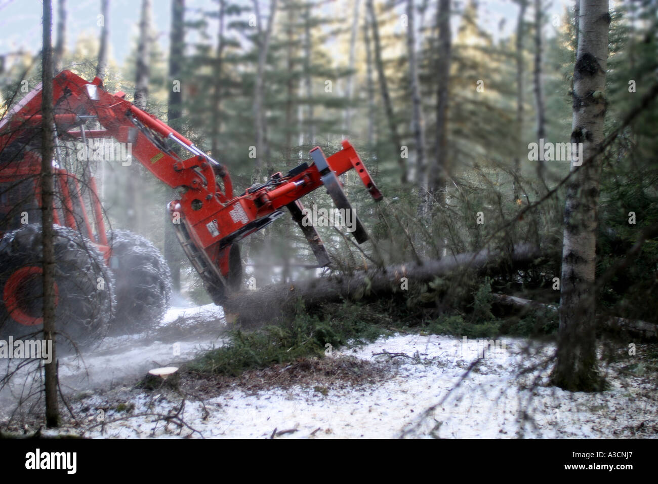 Logging industry Stock Photo Alamy