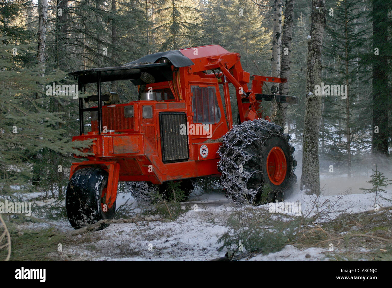 Logging industry Stock Photo Alamy