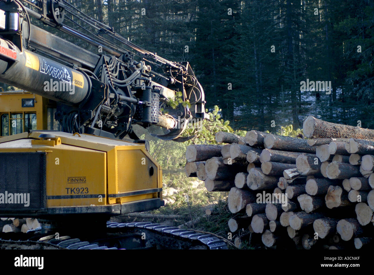 Logging industry Stock Photo Alamy