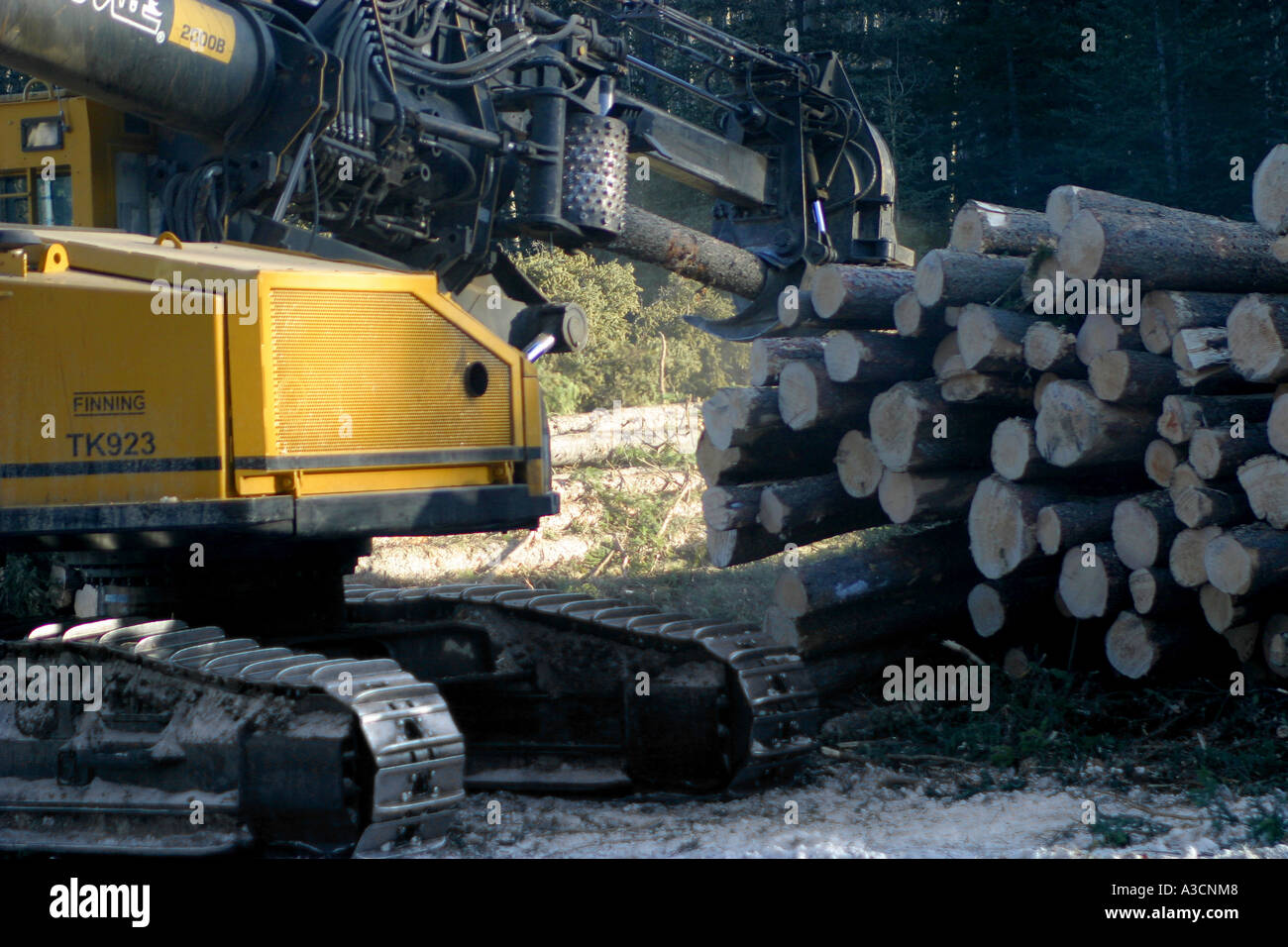 Logging industry Stock Photo Alamy