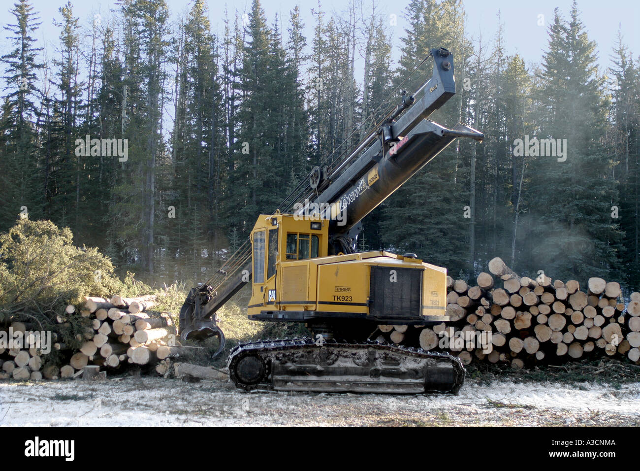 Logging industry Stock Photo Alamy