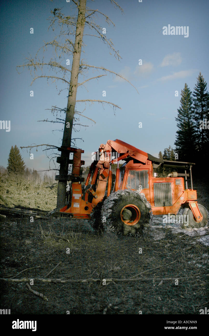 WHAT IS LOGGING INDUSTRY visual data 4