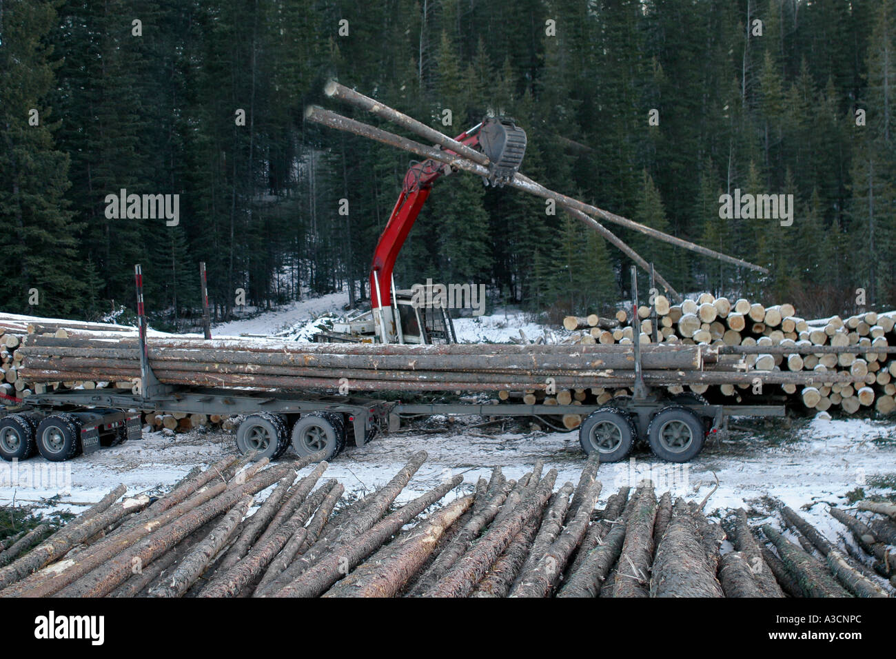Logging industry Stock Photo Alamy