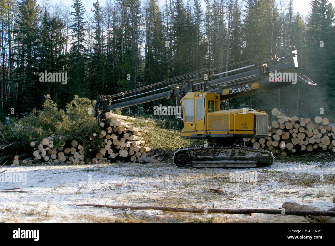 Logging industry Stock Photo Alamy