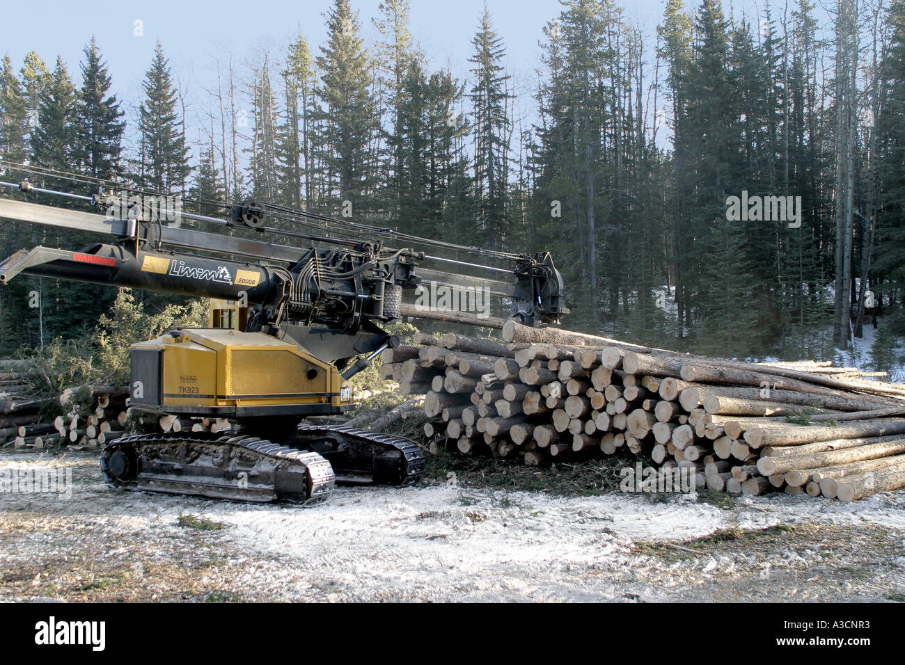 Logging industry Stock Photo Alamy