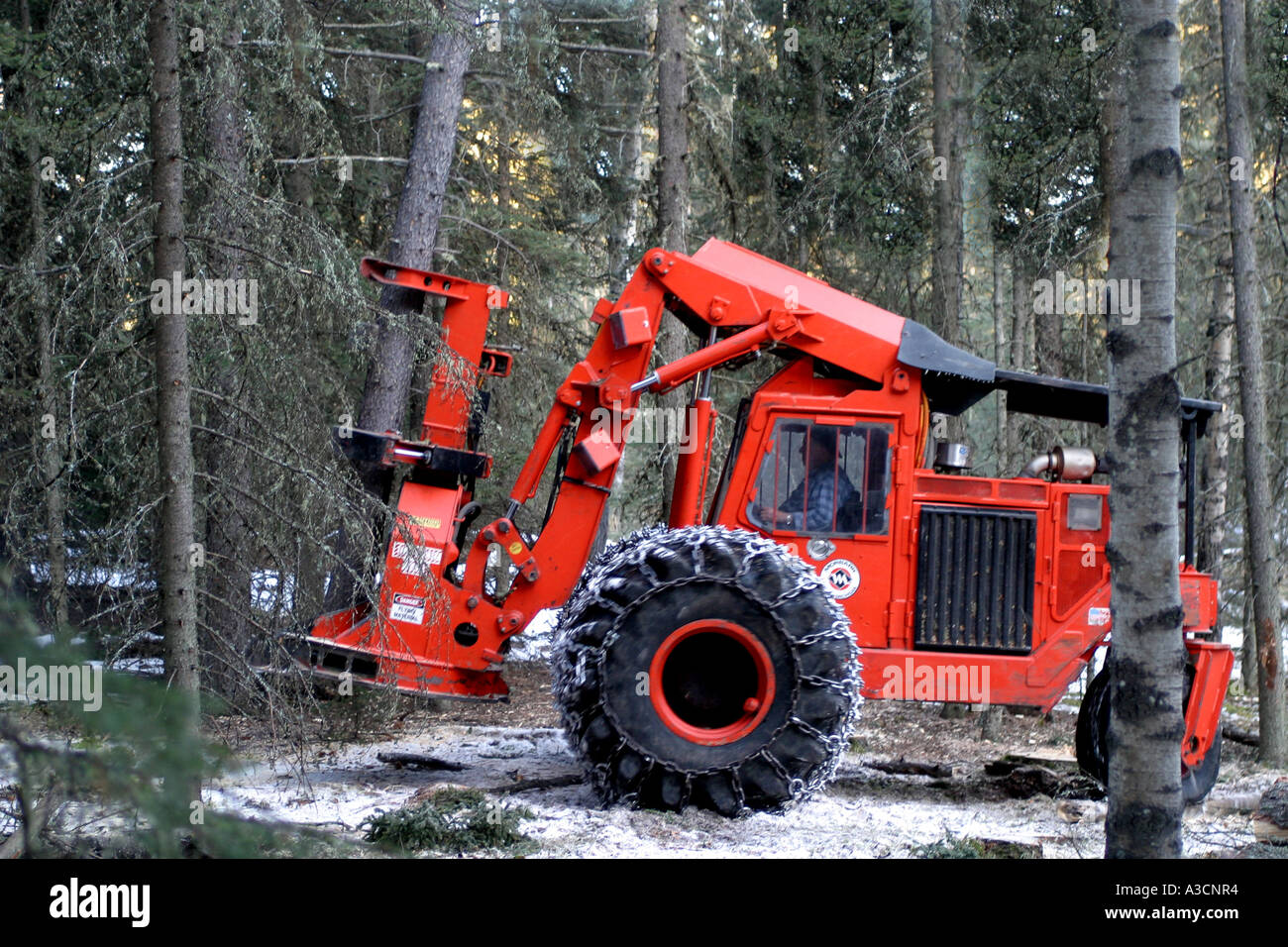 Logging industry Stock Photo Alamy