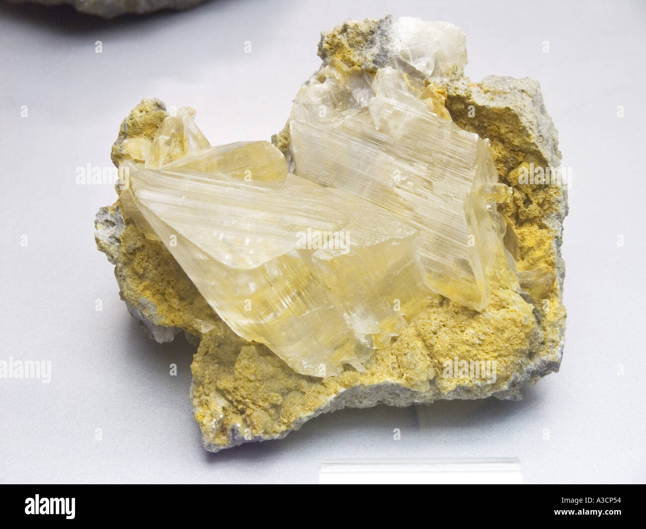 Gips material hi-res stock photography and images - Alamy