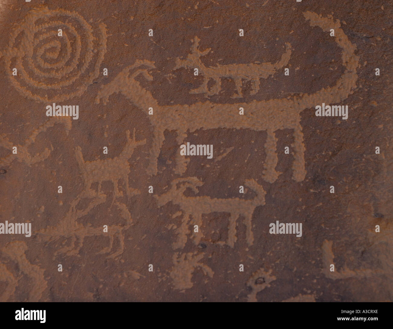 chaco canyon Petroglyph Stock Photo