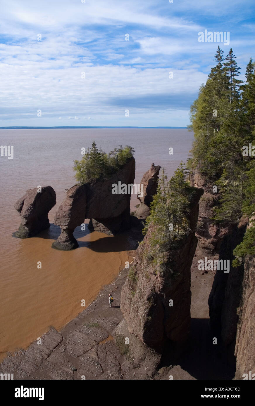 Canada New Brunswick Bay of Fundy Hopewell Rocks low incoming tide man on beach Stock Photo