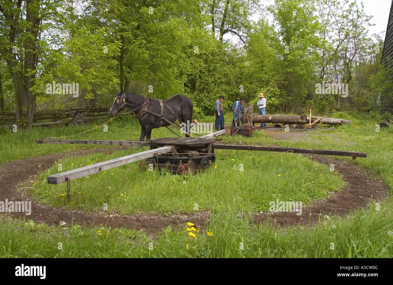 Canada Ontario Upper Canada Village living history museum circa 1860s Drag Saw one horsepower Stock Photo