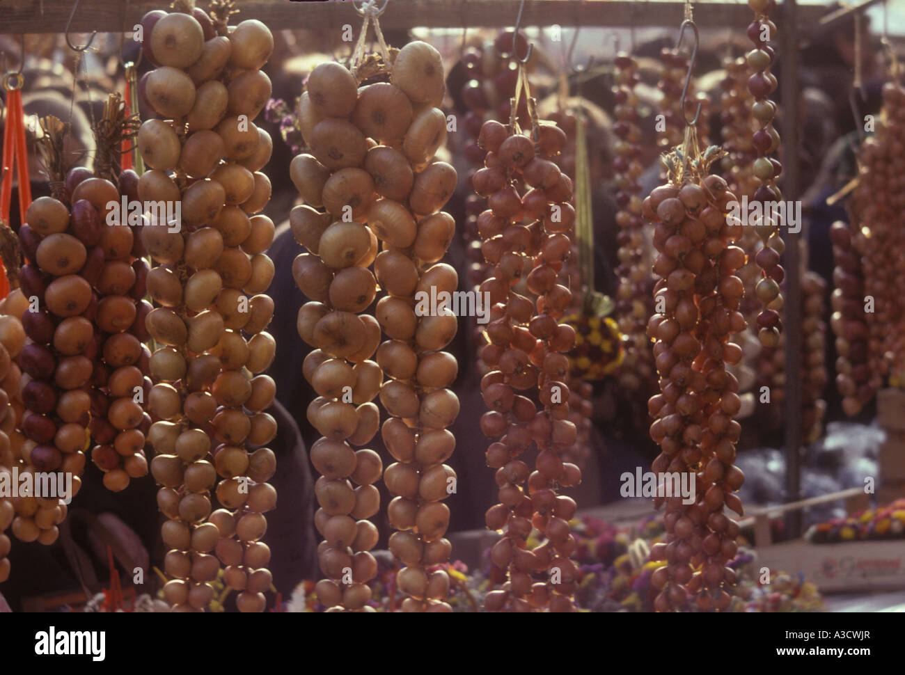 Onion braids at marketstand on the tradition Onion market festival in