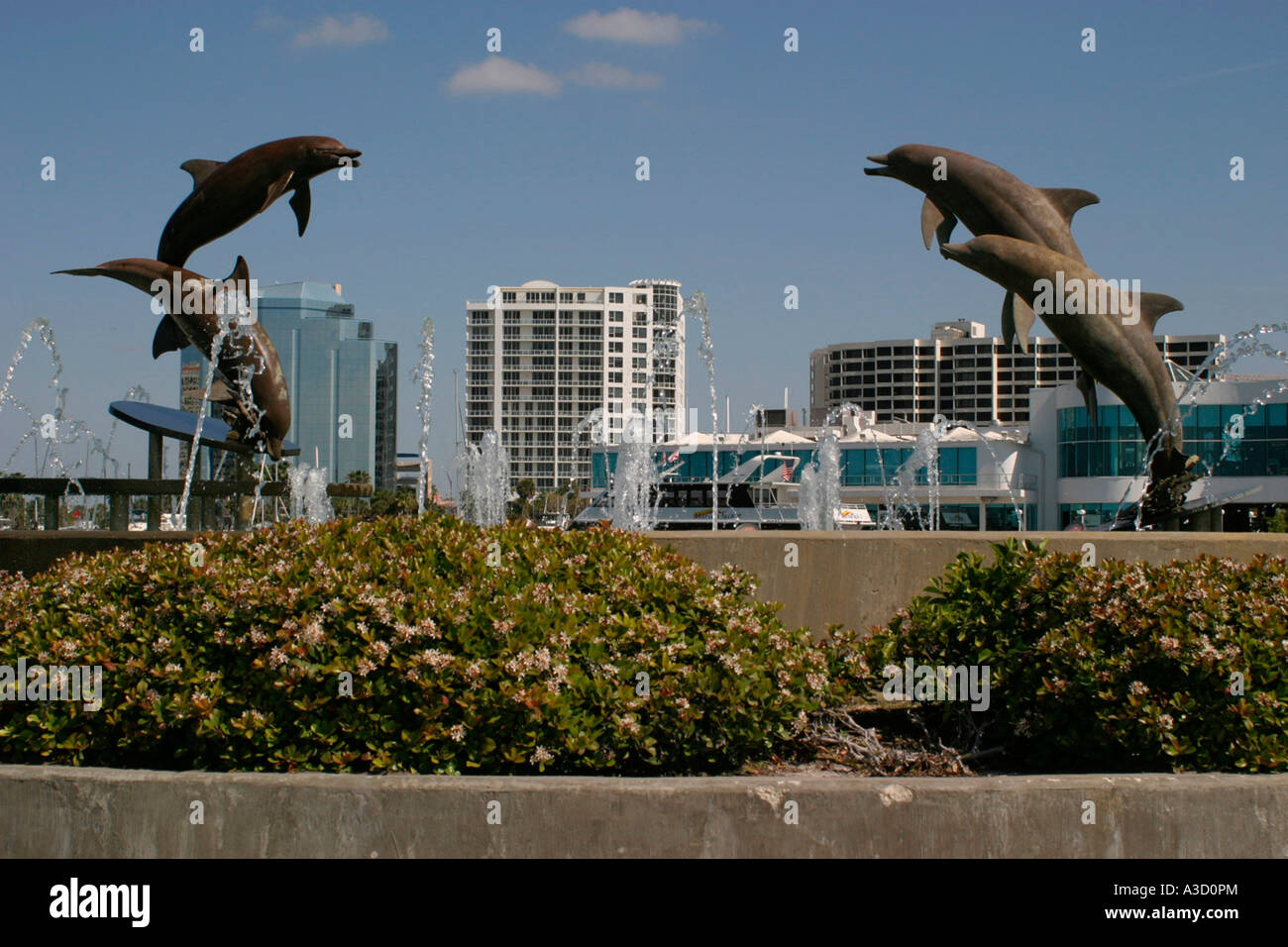 Sarasota's Waterfront Park Florida USA Stock Photo Alamy
