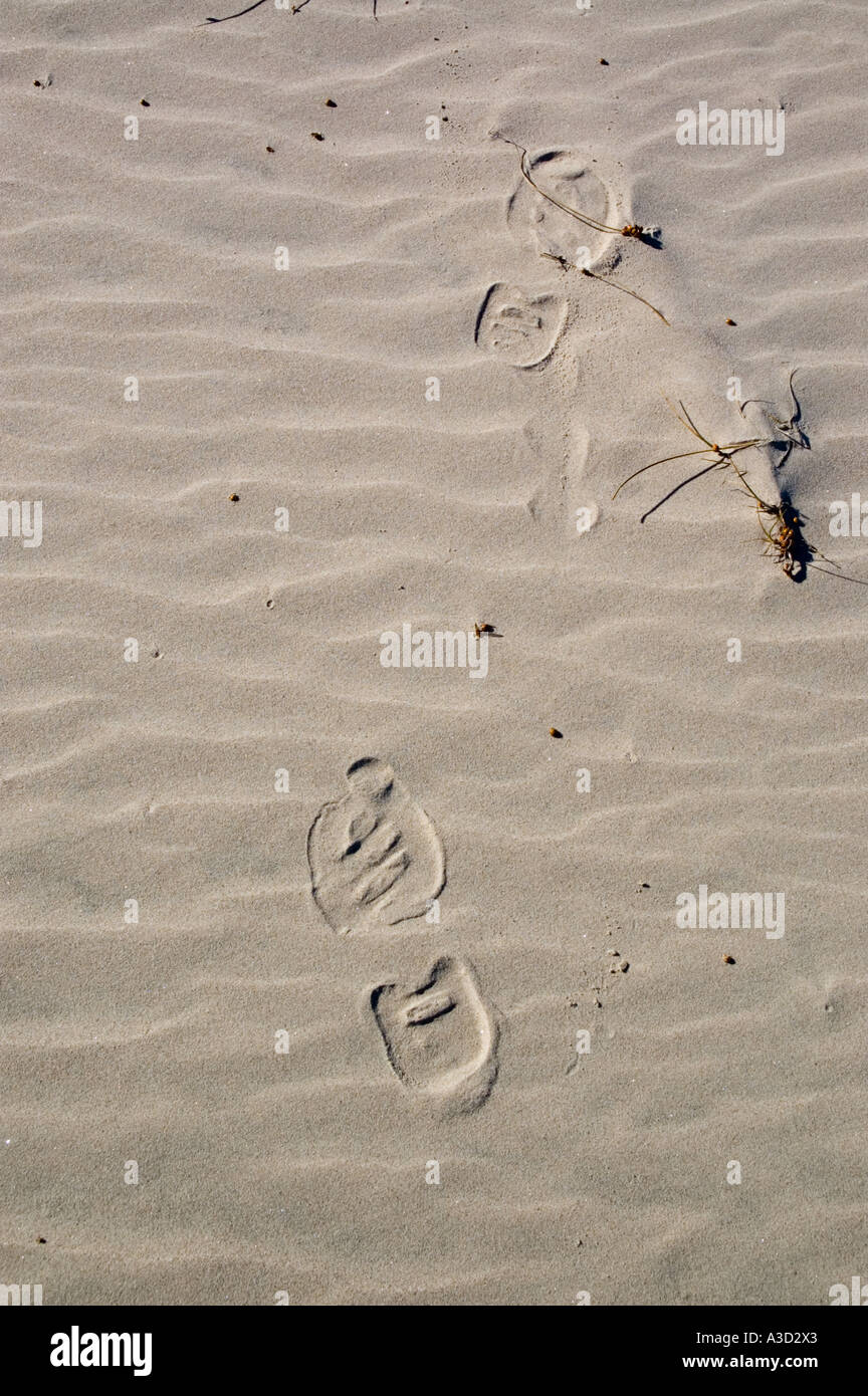 Boot prints in the sand Stock Photo