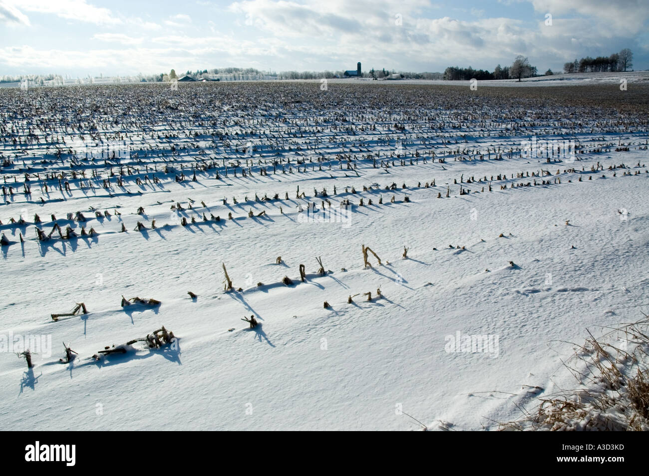 Farmers field wind swept and frozen Stock Photo Alamy