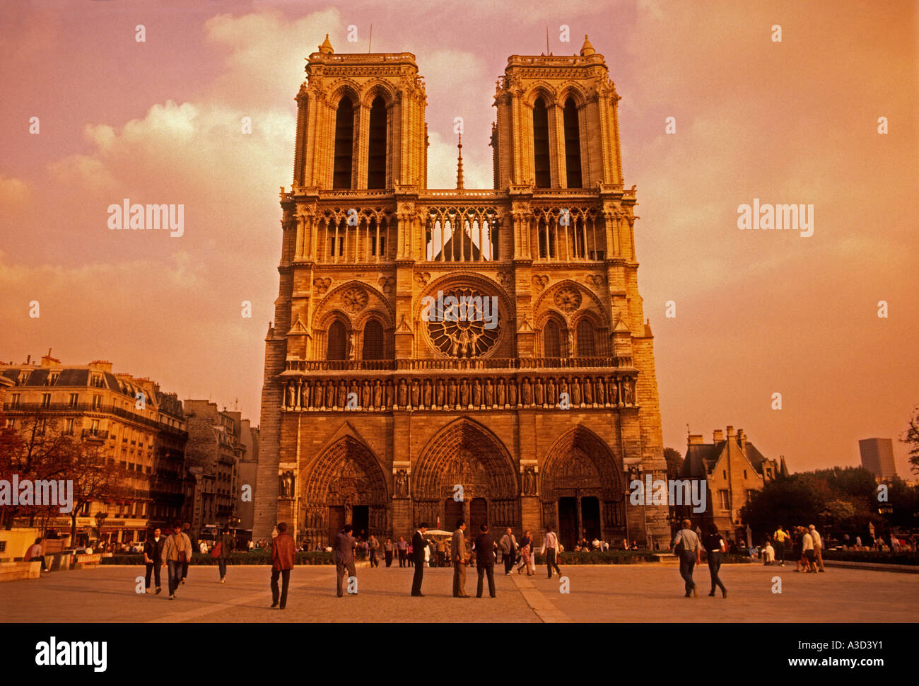 Notre-Dame Cathedral, Roman Catholic cathedral, Roman Catholicism, city of Paris, Paris, Ile-de-France, France, Europe Stock Photo