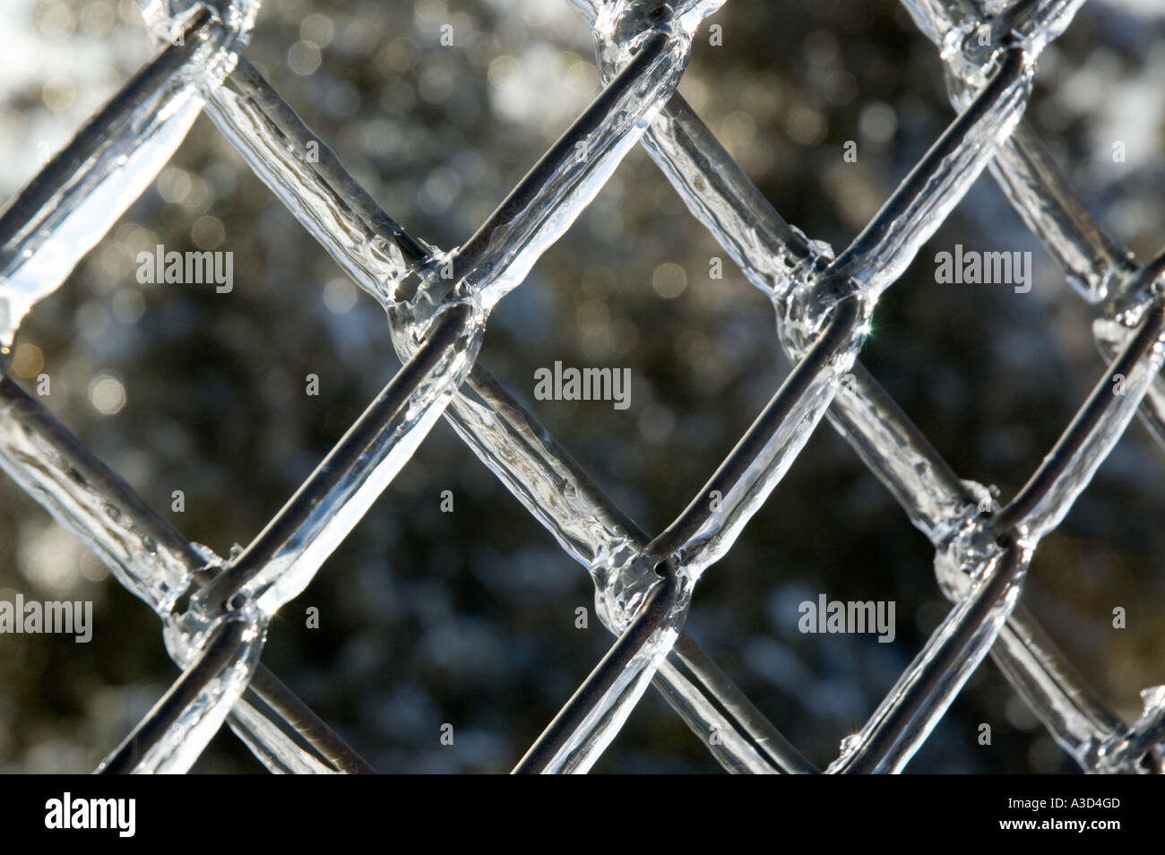 Chain link fence covered by ice after a freezing rain storm Stock Photo -  Alamy