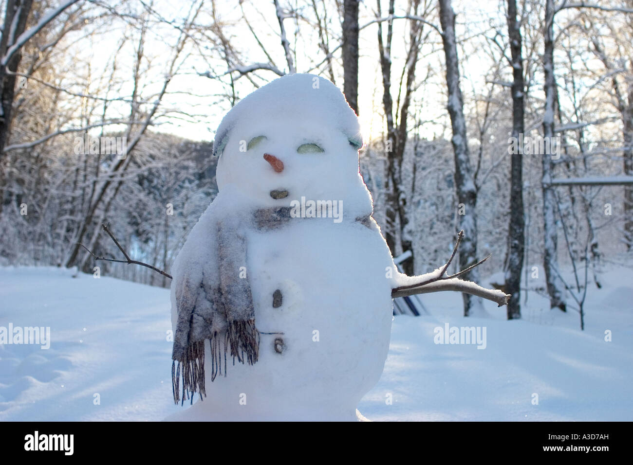Snowman in wintry scene Stock Photo - Alamy